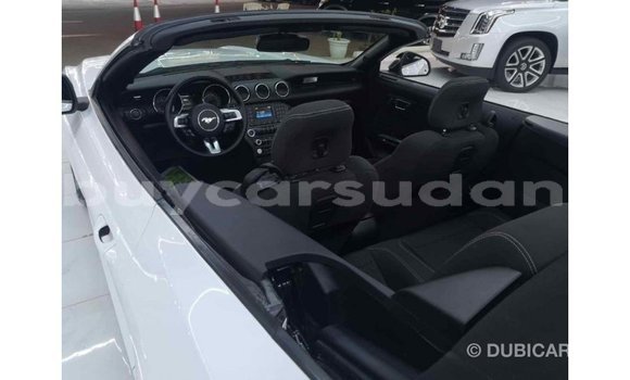 Buy Import Ford Mustang White Car in Import - Dubai in Al Jazirah State Buy Import Ford Mustang White Car in Import - Dubai in Al Jazirah State