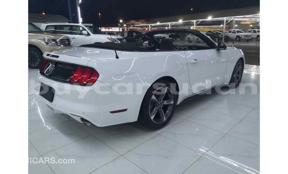 Buy Import Ford Mustang White Car in Import - Dubai in Al Jazirah State