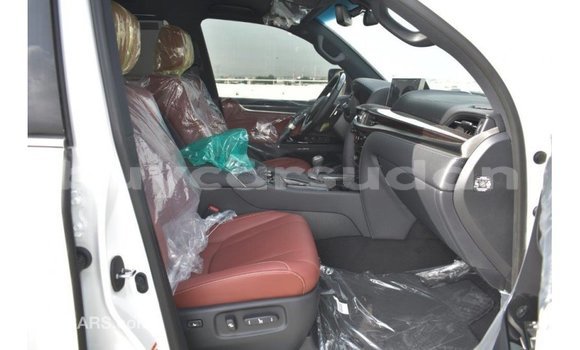 Buy Import Lexus LX White Car in Import - Dubai in Al Jazirah State Buy Import Lexus LX White Car in Import - Dubai in Al Jazirah State