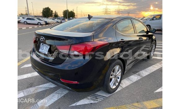 Buy Import Hyundai Elantra Black Car in Import - Dubai in Al Jazirah State Buy Import Hyundai Elantra Black Car in Import - Dubai in Al Jazirah State