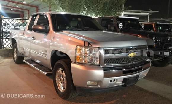Buy Import Chevrolet Silverado Other Car in Import - Dubai in Al Jazirah State Buy Import Chevrolet Silverado Other Car in Import - Dubai in Al Jazirah State