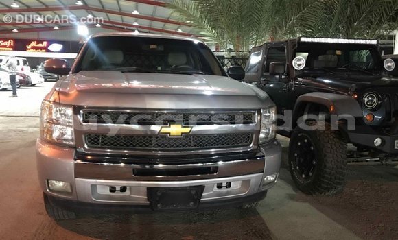 Buy Import Chevrolet Silverado Other Car in Import - Dubai in Al Jazirah State Buy Import Chevrolet Silverado Other Car in Import - Dubai in Al Jazirah State