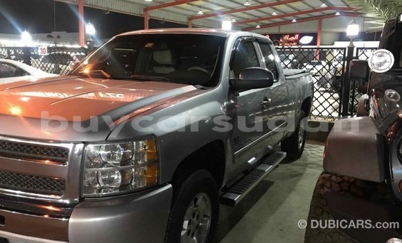 Buy Import Chevrolet Silverado Other Car in Import - Dubai in Al Jazirah State Buy Import Chevrolet Silverado Other Car in Import - Dubai in Al Jazirah State