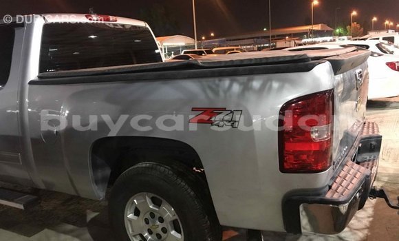 Buy Import Chevrolet Silverado Other Car in Import - Dubai in Al Jazirah State Buy Import Chevrolet Silverado Other Car in Import - Dubai in Al Jazirah State