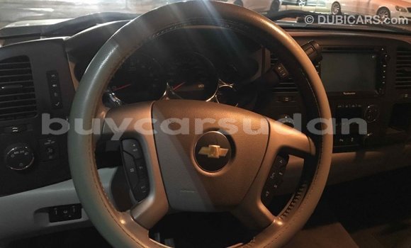 Buy Import Chevrolet Silverado Other Car in Import - Dubai in Al Jazirah State Buy Import Chevrolet Silverado Other Car in Import - Dubai in Al Jazirah State