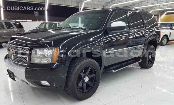 Buy Import Chevrolet Tahoe Black Car in Import - Dubai in Al Jazirah State Buy Import Chevrolet Tahoe Black Car in Import - Dubai in Al Jazirah State