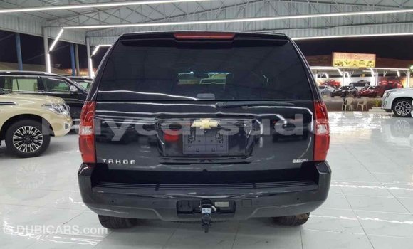 Buy Import Chevrolet Tahoe Black Car in Import - Dubai in Al Jazirah State Buy Import Chevrolet Tahoe Black Car in Import - Dubai in Al Jazirah State