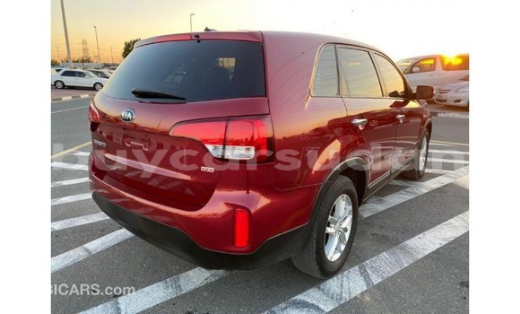 Buy Import Kia Sorento Red Car in Import - Dubai in Al Jazirah State Buy Import Kia Sorento Red Car in Import - Dubai in Al Jazirah State