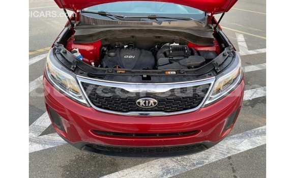 Buy Import Kia Sorento Red Car in Import - Dubai in Al Jazirah State Buy Import Kia Sorento Red Car in Import - Dubai in Al Jazirah State