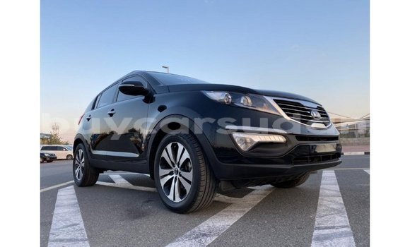 Buy Import Kia Sportage Black Car in Import - Dubai in Al Jazirah State Buy Import Kia Sportage Black Car in Import - Dubai in Al Jazirah State