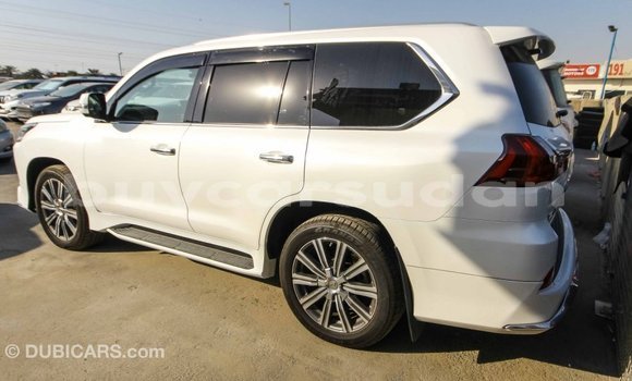 Buy Import Lexus LX White Car in Import - Dubai in Al Jazirah State