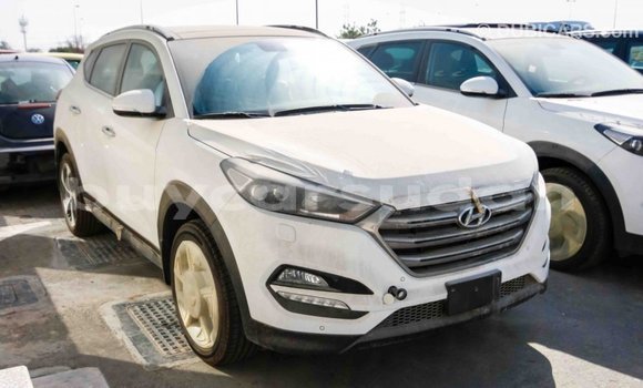 Buy Import Hyundai Tucson White Car in Import - Dubai in Al Jazirah State Buy Import Hyundai Tucson White Car in Import - Dubai in Al Jazirah State
