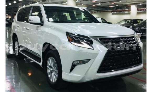 Buy Import Lexus GS White Car in Import - Dubai in Al Jazirah State Buy Import Lexus GS White Car in Import - Dubai in Al Jazirah State