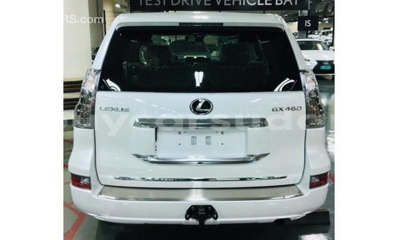 Buy Import Lexus GS White Car in Import - Dubai in Al Jazirah State Buy Import Lexus GS White Car in Import - Dubai in Al Jazirah State