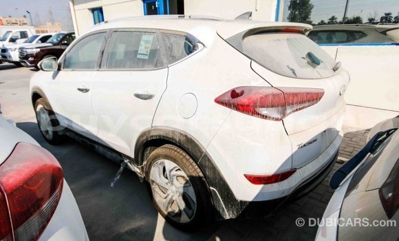 Buy Import Hyundai Tucson White Car in Import - Dubai in Al Jazirah State Buy Import Hyundai Tucson White Car in Import - Dubai in Al Jazirah State