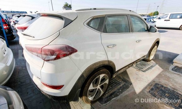 Buy Import Hyundai Tucson White Car in Import - Dubai in Al Jazirah State Buy Import Hyundai Tucson White Car in Import - Dubai in Al Jazirah State