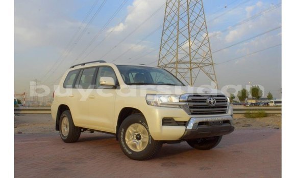 Buy Import Toyota Land Cruiser White Car in Import - Dubai in Al Jazirah State Buy Import Toyota Land Cruiser White Car in Import - Dubai in Al Jazirah State