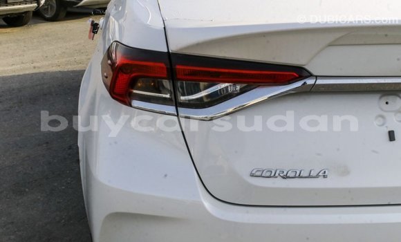 Buy Import Toyota Corolla White Car in Import - Dubai in Al Jazirah State Buy Import Toyota Corolla White Car in Import - Dubai in Al Jazirah State