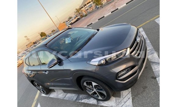 Buy Import Hyundai Tucson Other Car in Import - Dubai in Al Jazirah State Buy Import Hyundai Tucson Other Car in Import - Dubai in Al Jazirah State