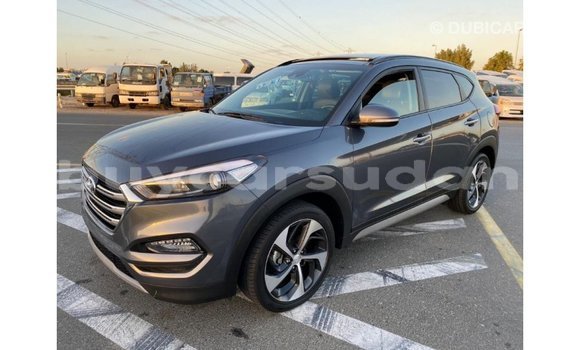 Buy Import Hyundai Tucson Other Car in Import - Dubai in Al Jazirah State Buy Import Hyundai Tucson Other Car in Import - Dubai in Al Jazirah State