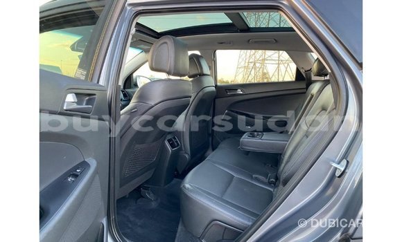 Buy Import Hyundai Tucson Other Car in Import - Dubai in Al Jazirah State Buy Import Hyundai Tucson Other Car in Import - Dubai in Al Jazirah State