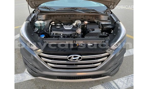 Buy Import Hyundai Tucson Other Car in Import - Dubai in Al Jazirah State Buy Import Hyundai Tucson Other Car in Import - Dubai in Al Jazirah State
