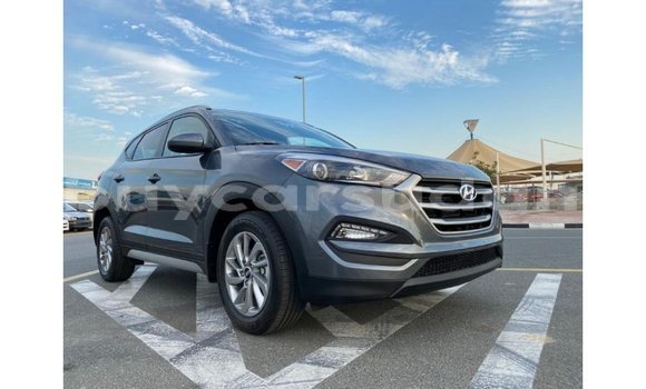 Buy Import Hyundai Tucson White Car in Import - Dubai in Al Jazirah State Buy Import Hyundai Tucson White Car in Import - Dubai in Al Jazirah State