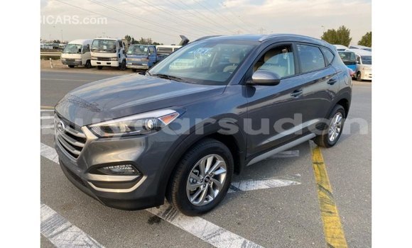 Buy Import Hyundai Tucson White Car in Import - Dubai in Al Jazirah State Buy Import Hyundai Tucson White Car in Import - Dubai in Al Jazirah State