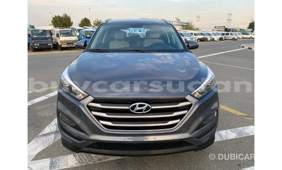 Buy Import Hyundai Tucson White Car in Import - Dubai in Al Jazirah State Buy Import Hyundai Tucson White Car in Import - Dubai in Al Jazirah State