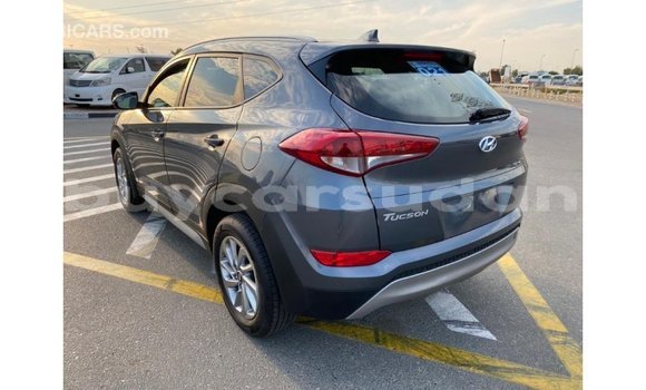 Buy Import Hyundai Tucson White Car in Import - Dubai in Al Jazirah State Buy Import Hyundai Tucson White Car in Import - Dubai in Al Jazirah State