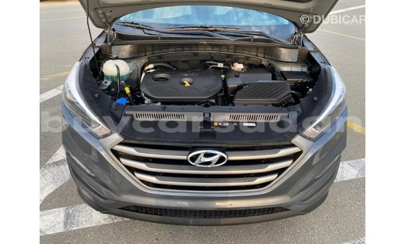 Buy Import Hyundai Tucson White Car in Import - Dubai in Al Jazirah State Buy Import Hyundai Tucson White Car in Import - Dubai in Al Jazirah State