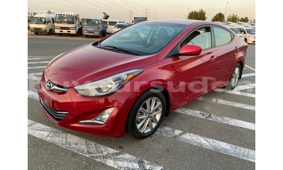 Buy Import Hyundai Elantra Red Car in Import - Dubai in Al Jazirah State Buy Import Hyundai Elantra Red Car in Import - Dubai in Al Jazirah State