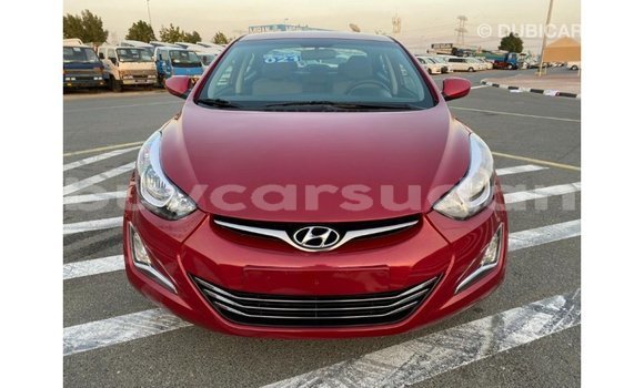 Buy Import Hyundai Elantra Red Car in Import - Dubai in Al Jazirah State Buy Import Hyundai Elantra Red Car in Import - Dubai in Al Jazirah State
