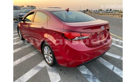 Buy Import Hyundai Elantra Red Car in Import - Dubai in Al Jazirah State Buy Import Hyundai Elantra Red Car in Import - Dubai in Al Jazirah State