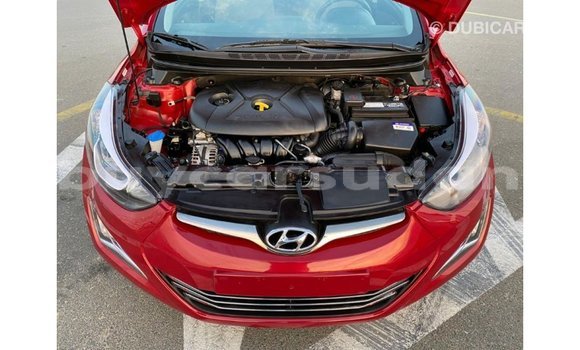 Buy Import Hyundai Elantra Red Car in Import - Dubai in Al Jazirah State Buy Import Hyundai Elantra Red Car in Import - Dubai in Al Jazirah State