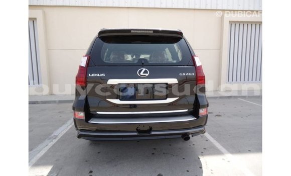 Buy Import Lexus LX Black Car in Import - Dubai in Al Jazirah State Buy Import Lexus LX Black Car in Import - Dubai in Al Jazirah State