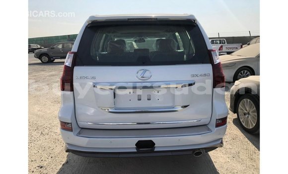 Buy Import Lexus GX White Car in Import - Dubai in Al Jazirah State Buy Import Lexus GX White Car in Import - Dubai in Al Jazirah State