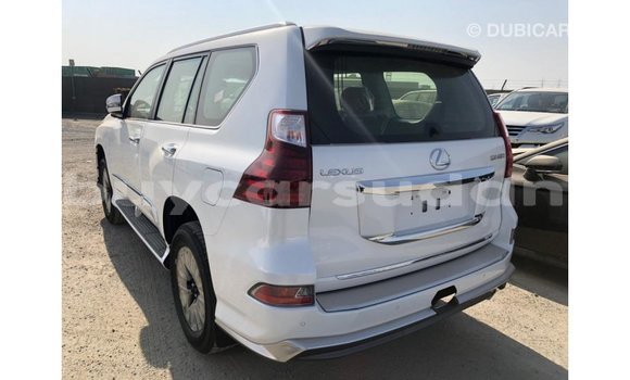Buy Import Lexus GX White Car in Import - Dubai in Al Jazirah State Buy Import Lexus GX White Car in Import - Dubai in Al Jazirah State