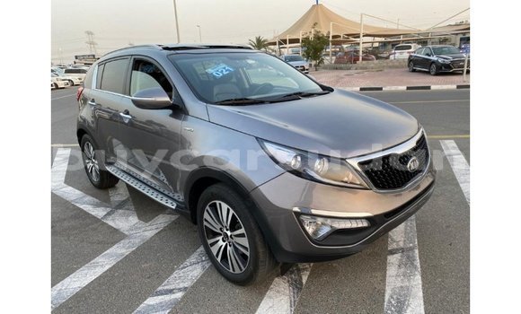 Buy Import Kia Sportage Other Car in Import - Dubai in Al Jazirah State Buy Import Kia Sportage Other Car in Import - Dubai in Al Jazirah State
