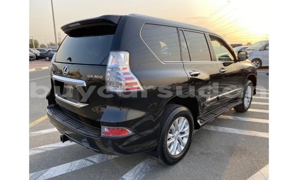 Buy Import Lexus GX Black Car in Import - Dubai in Al Jazirah State Buy Import Lexus GX Black Car in Import - Dubai in Al Jazirah State