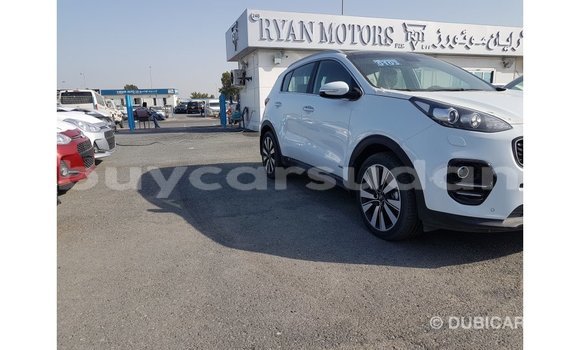 Buy Import Kia Sportage White Car in Import - Dubai in Al Jazirah State Buy Import Kia Sportage White Car in Import - Dubai in Al Jazirah State
