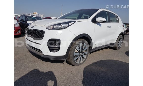 Buy Import Kia Sportage White Car in Import - Dubai in Al Jazirah State Buy Import Kia Sportage White Car in Import - Dubai in Al Jazirah State