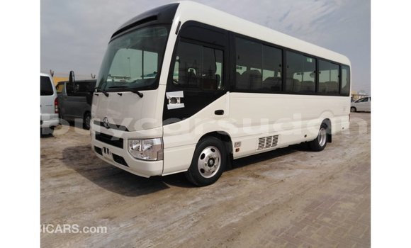 Buy Import Toyota Coaster White Car in Import - Dubai in Al Jazirah State Buy Import Toyota Coaster White Car in Import - Dubai in Al Jazirah State