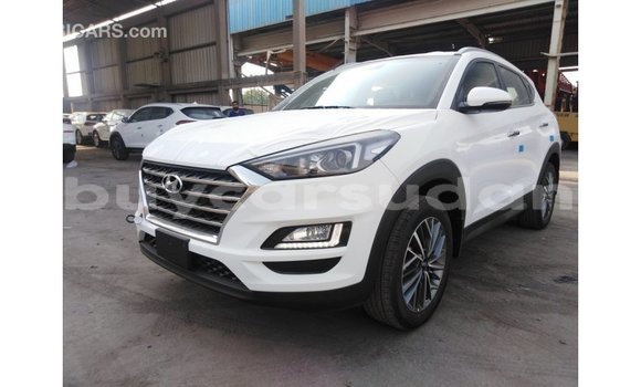 Buy Import Hyundai Tucson White Car in Import - Dubai in Al Jazirah State Buy Import Hyundai Tucson White Car in Import - Dubai in Al Jazirah State