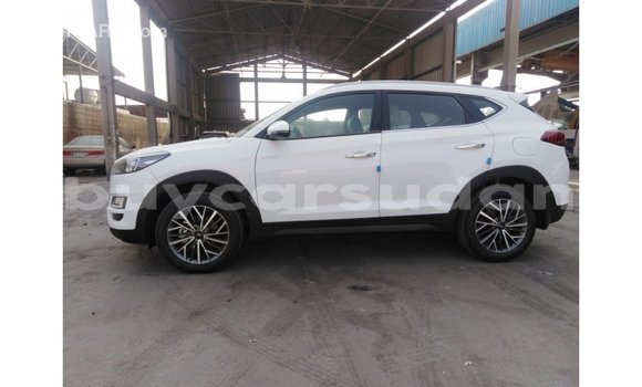 Buy Import Hyundai Tucson White Car in Import - Dubai in Al Jazirah State Buy Import Hyundai Tucson White Car in Import - Dubai in Al Jazirah State
