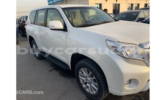 Buy Import Toyota Prado White Car in Import - Dubai in Al Jazirah State Buy Import Toyota Prado White Car in Import - Dubai in Al Jazirah State
