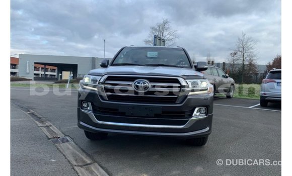 Buy Import Toyota Land Cruiser Brown Car in Import - Dubai in Al Jazirah State Buy Import Toyota Land Cruiser Brown Car in Import - Dubai in Al Jazirah State