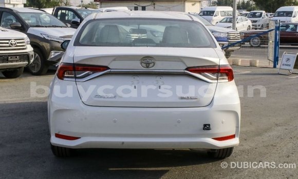 Buy Import Toyota Corolla White Car in Import - Dubai in Al Jazirah State Buy Import Toyota Corolla White Car in Import - Dubai in Al Jazirah State