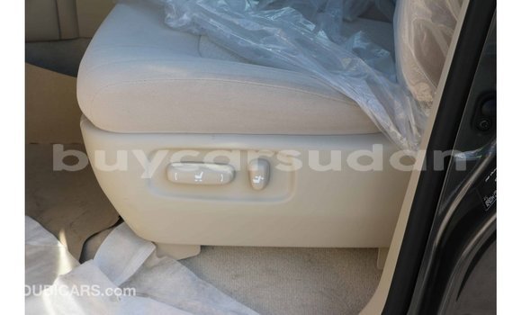 Buy Import Toyota Land Cruiser Black Car in Import - Dubai in Al Jazirah State Buy Import Toyota Land Cruiser Black Car in Import - Dubai in Al Jazirah State