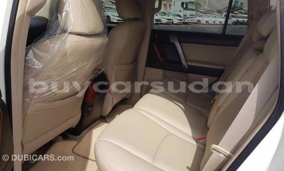 Buy Import Toyota Prado White Car in Import - Dubai in Al Jazirah State Buy Import Toyota Prado White Car in Import - Dubai in Al Jazirah State